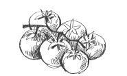 Frescura