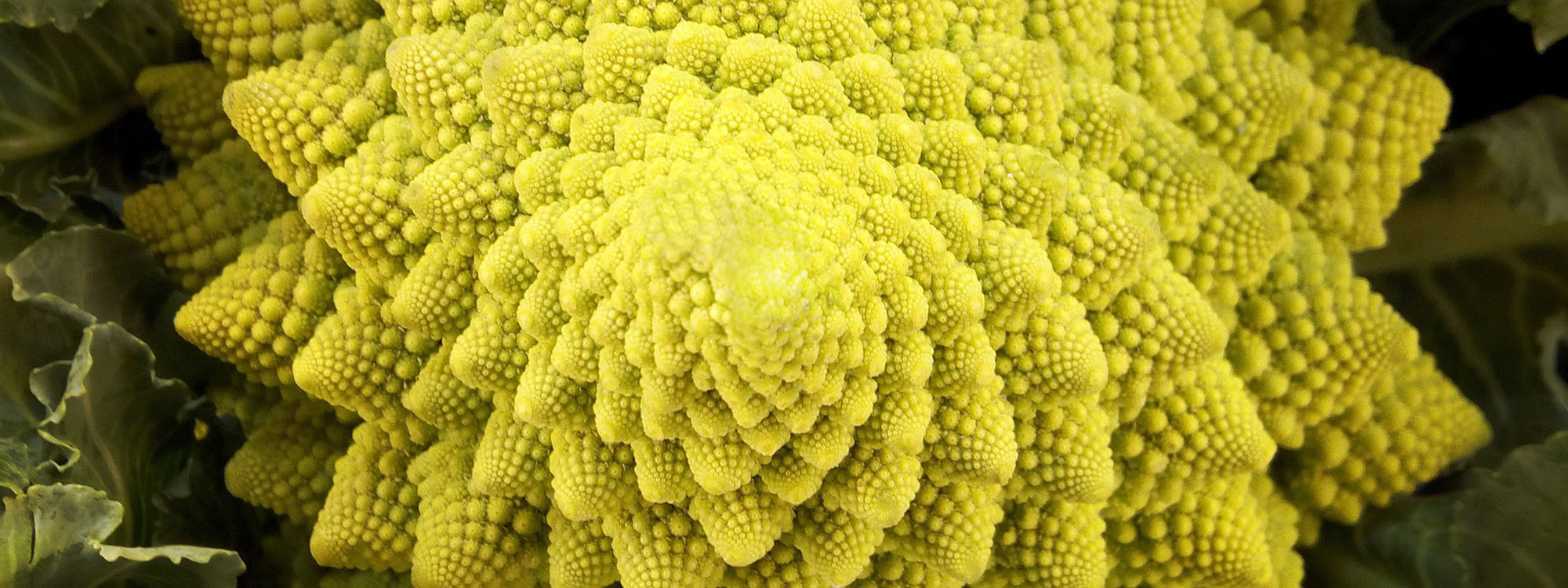 &nbsp;
